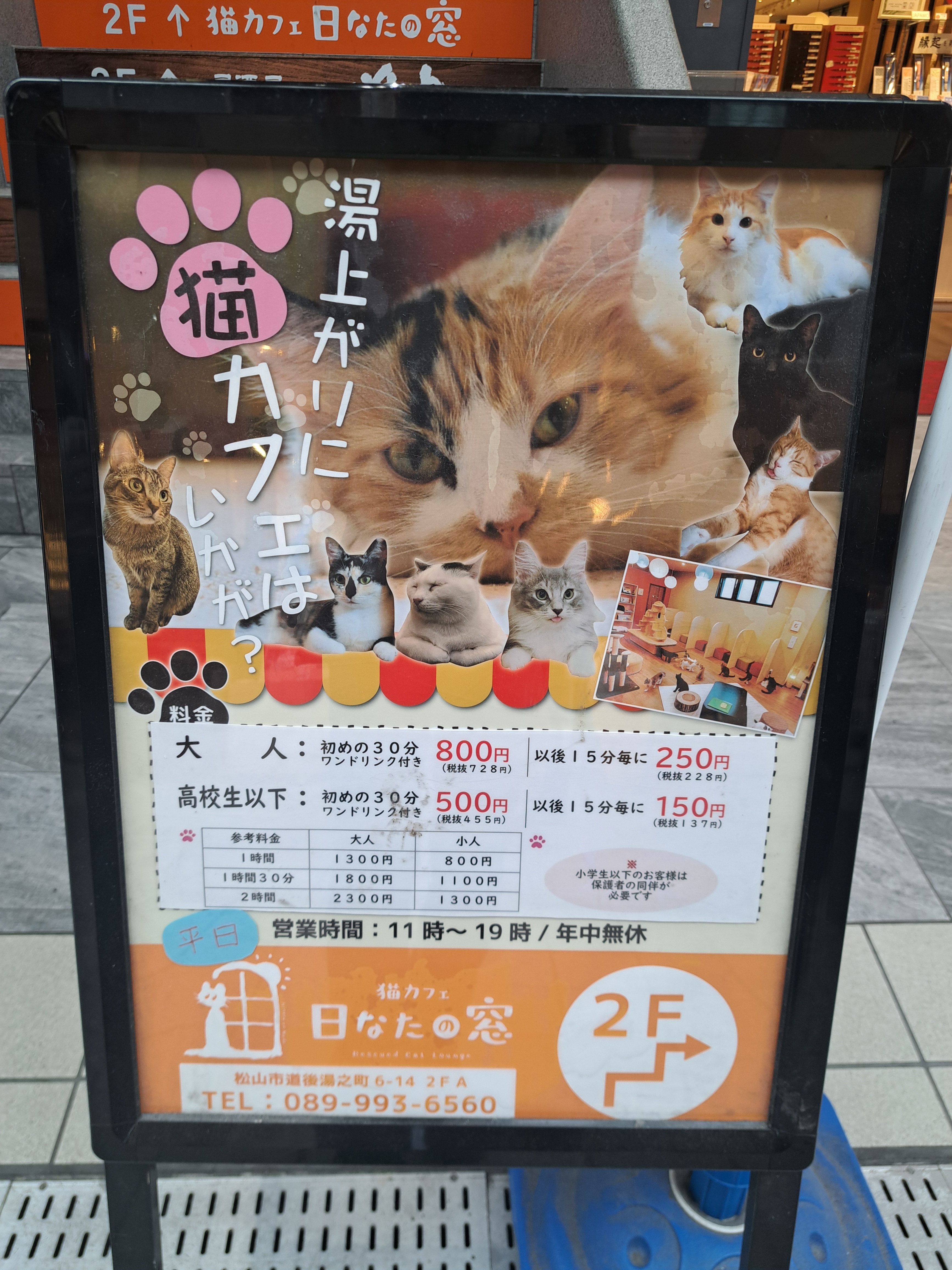 Cat Cafe Hinata no Mado gallery 1
