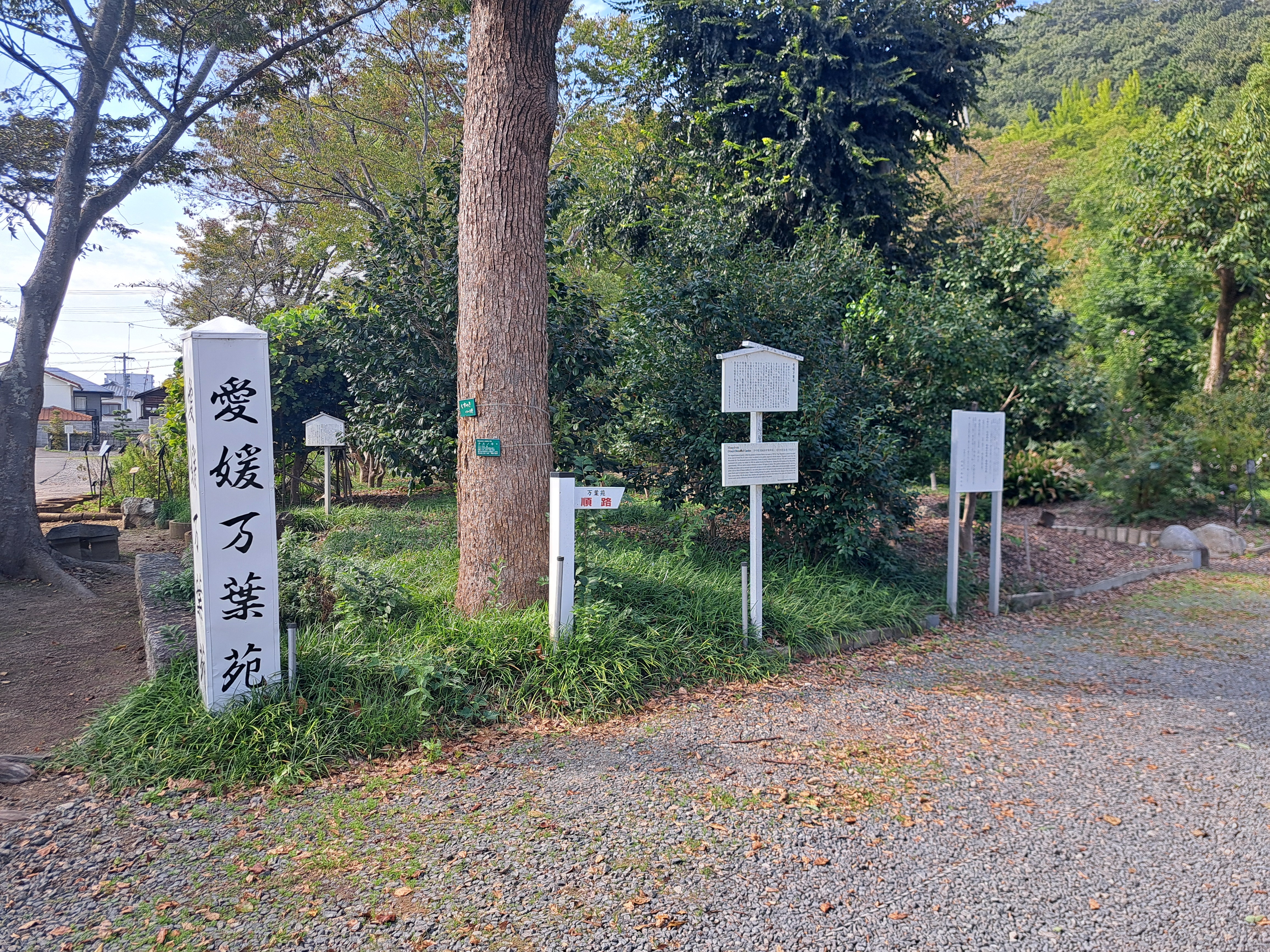 愛媛縣護國神社 圖片 1