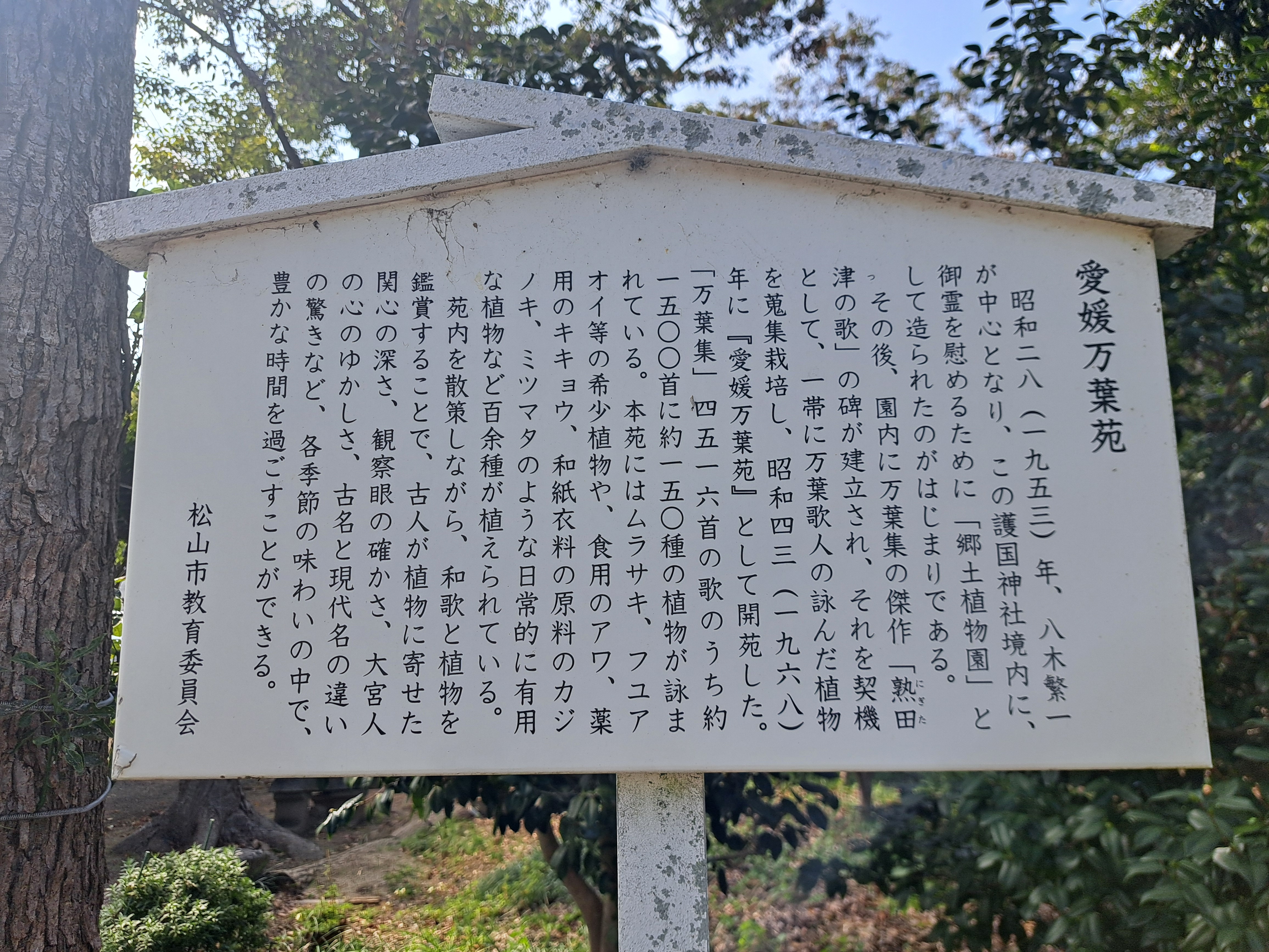 愛媛縣護國神社 圖片 2