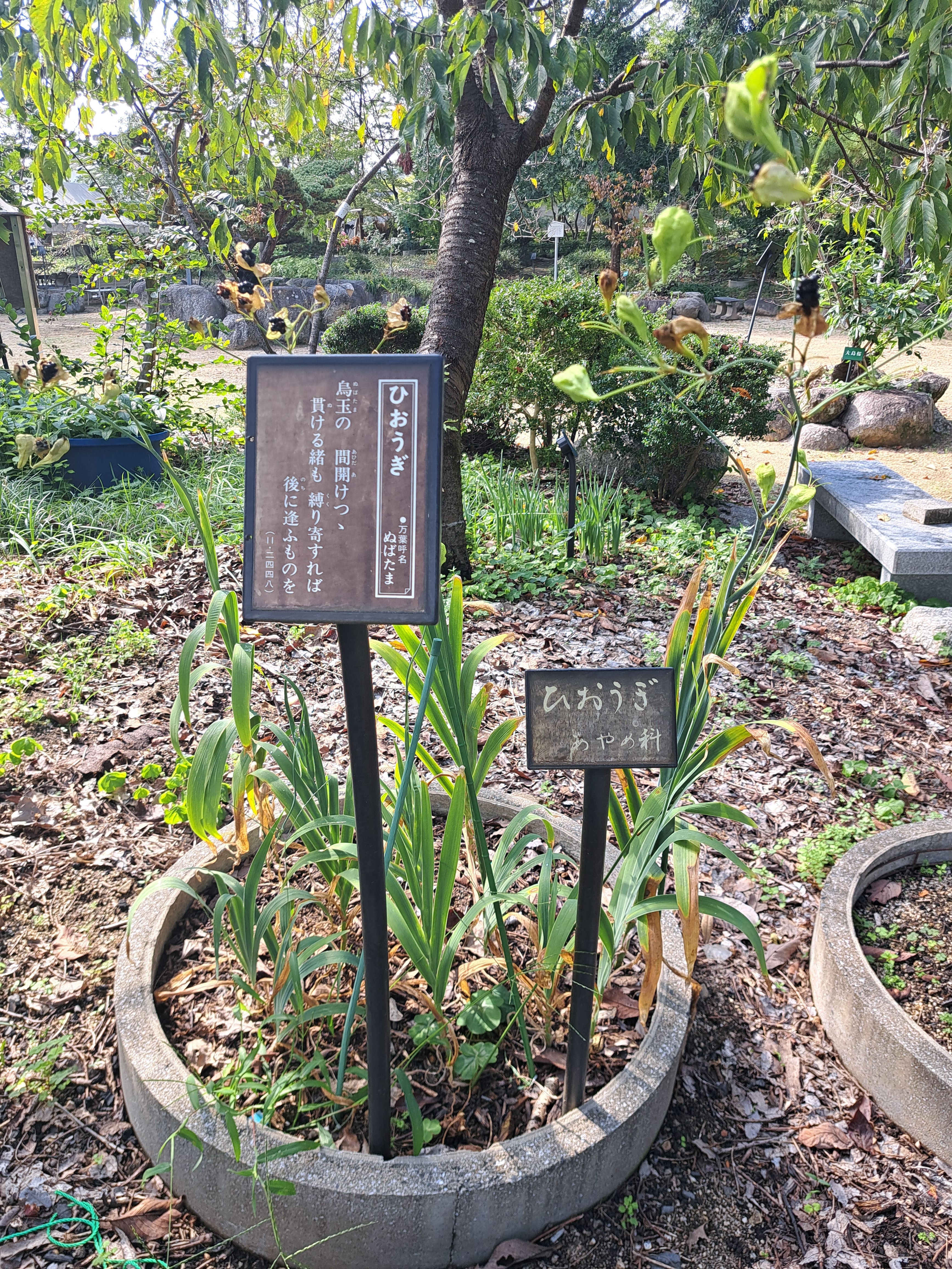 愛媛縣護國神社 圖片 3