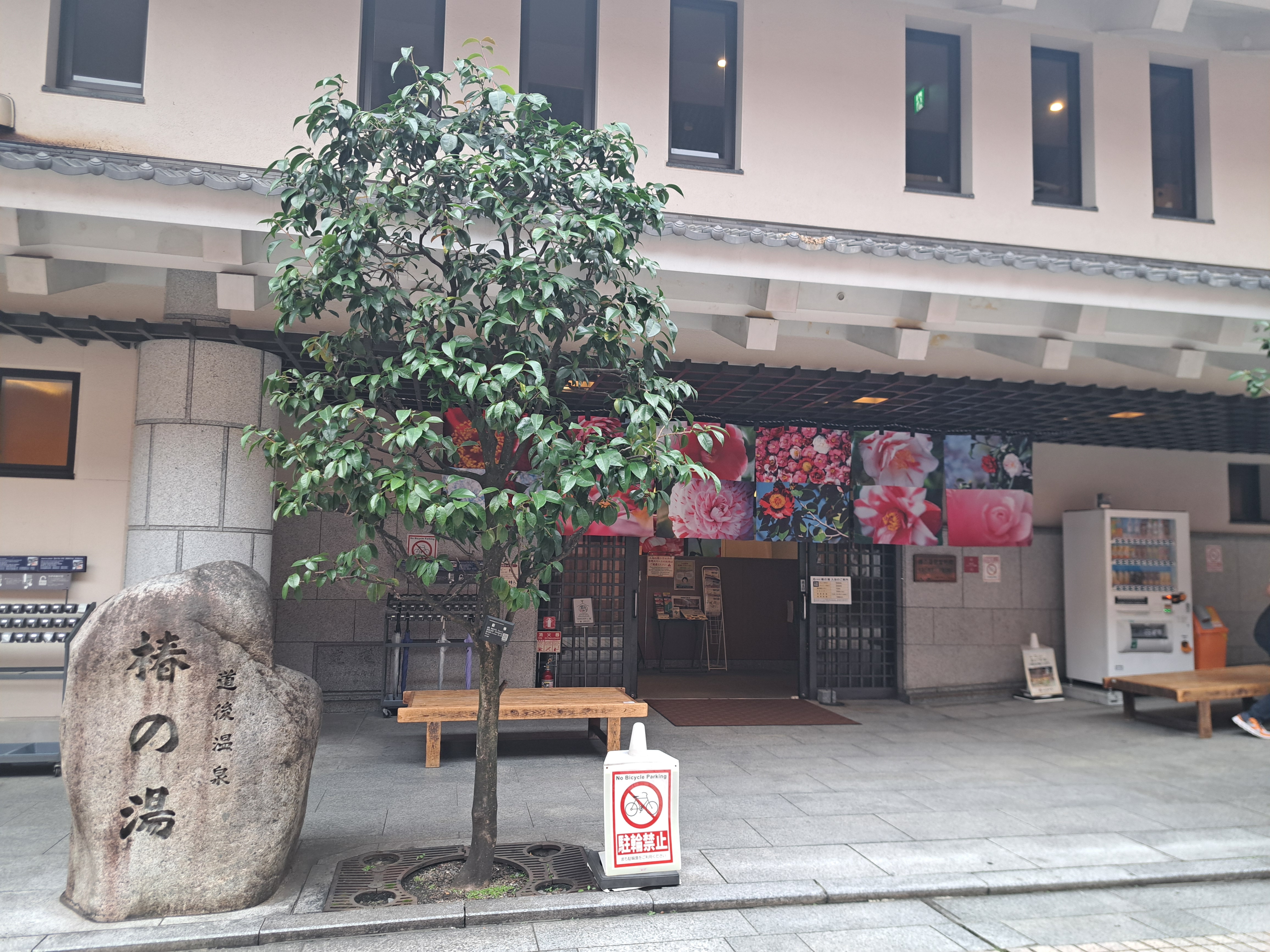 椿の湯